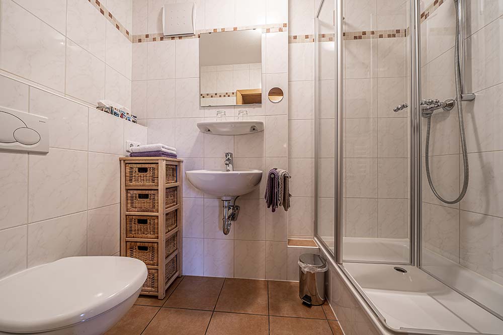 Badezimmer mit Dusche und WC der Ferienwohnung Gams